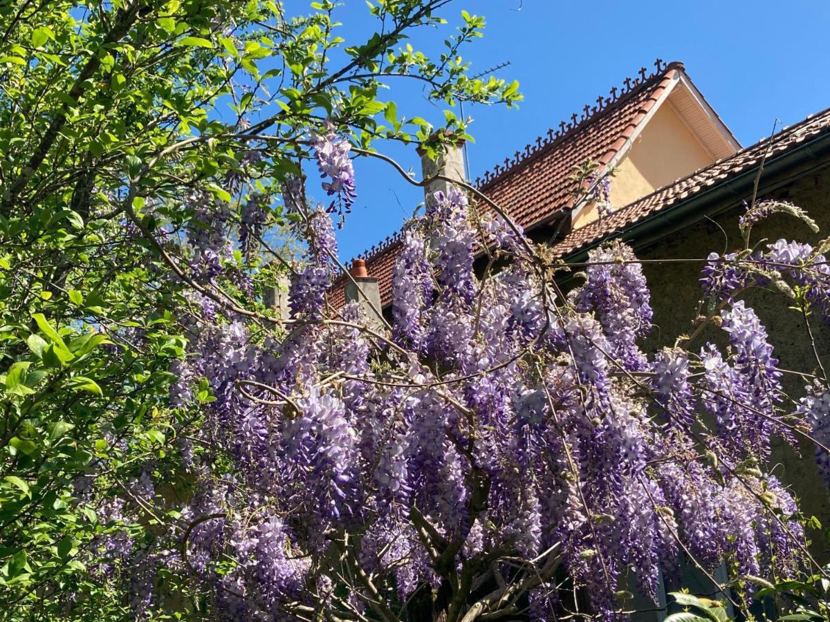 Bed and Breakfast Domaine La Jam Marciac Exterior foto